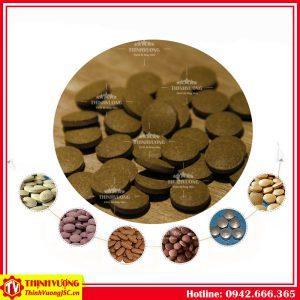 Máy dập viên nén 1 chày YP-5 – Hình ảnh máy tự động | ThinhVuongJSC.VN may dap vien nen 1 chay yp 5 4