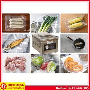 máy hút chân không 1 buồng dz-260