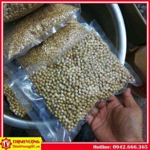 may hut chan khong gia dinh p290 4