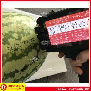 máy in phun date cầm tay m7 6