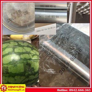 Máy in phun date cầm tay M6 thịnh vượng jsc 10