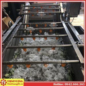 Máy rửa rau củ hoa quả (trái cây) sục khí ozone QX-3000 (Băng tải) – Hình ảnh máy tự động | ThinhVuongJSC.VN may rua rau cu qua suc ozone qx3000 bang tai 3