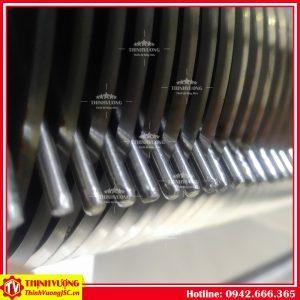 may thai thit tuoi song 1 kich thuoc dq1 3