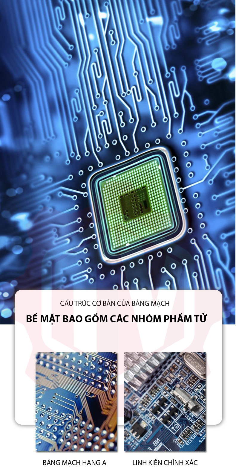 Máy đai thùng tự động YS-312 – Hình ảnh máy tự động | ThinhVuongJSC.VN YS-312