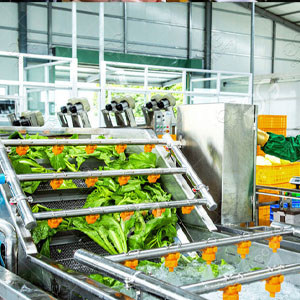 Máy chế biến rau củ quả